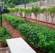 vgn notting hill - garden 